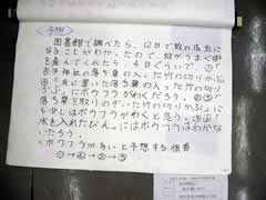NO.5