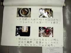 NO.7