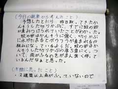 NO.9