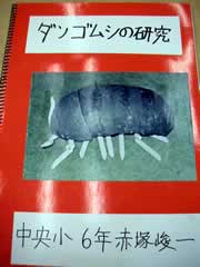 NO.1
