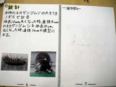 NO.6
