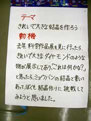 NO.3