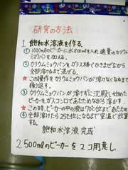 NO.5