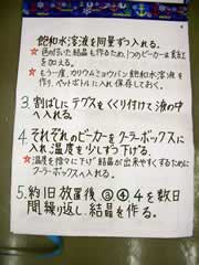 NO.6