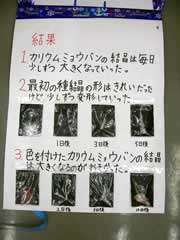 NO.9