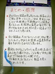 NO.10