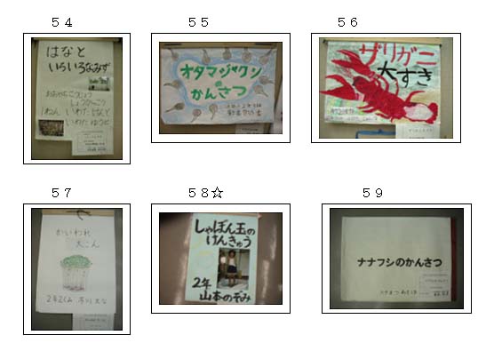ȊwW@wZ̕@NO.54`59