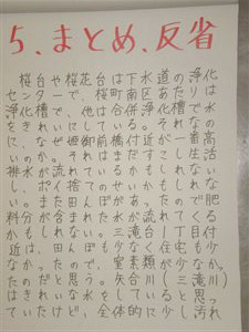 NO.5