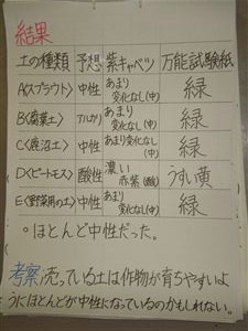 NO.3