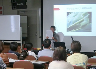 科学研究発表会の様子